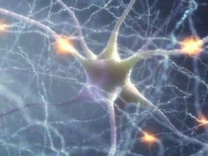 synaptic plasticity in addiction treatment