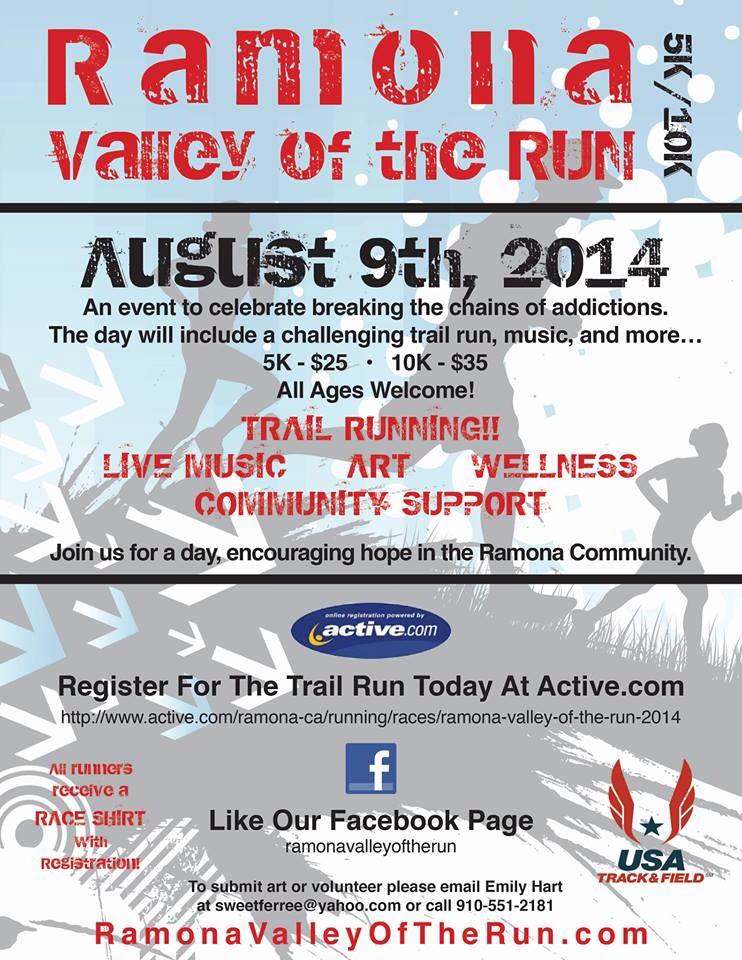Flyer Valley of the RUN