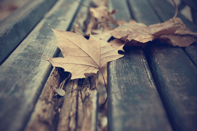 Recovery and Mental Health During Seasonal Changes