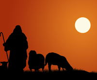 image of shepherd to symbolize self-guided change in alcohol and addiction recovery