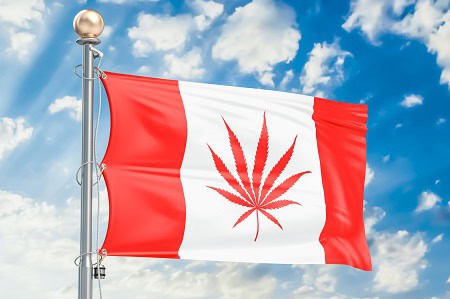 image of canadian flag with cannabis leaf