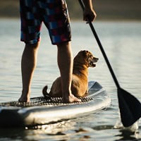 man enjoying sober fun in san diego