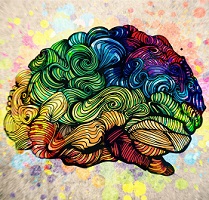 image of brain to illustrate the concept of addiction as a learning disorder, not a disease