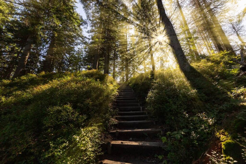 COVID Crisis Highlights Value of Long-Term Rewards