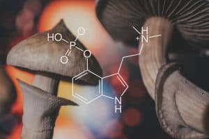 psychedelic research efforts being made with chemicals similar to psilocybin