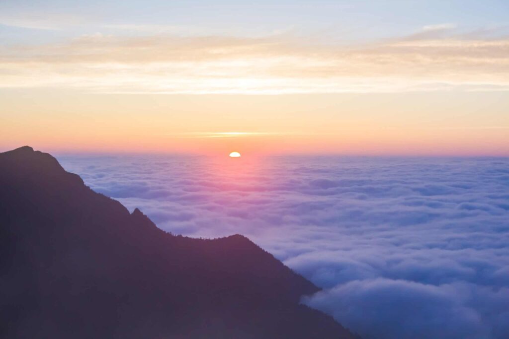 New Year’s Resolutions & The Abstinence Violation Effect