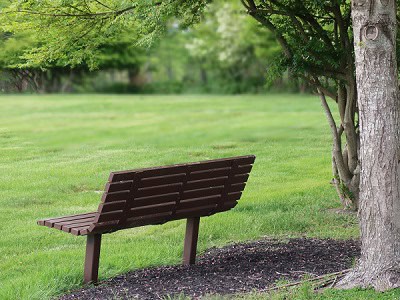 image of empty bench to symbolize coping with grief