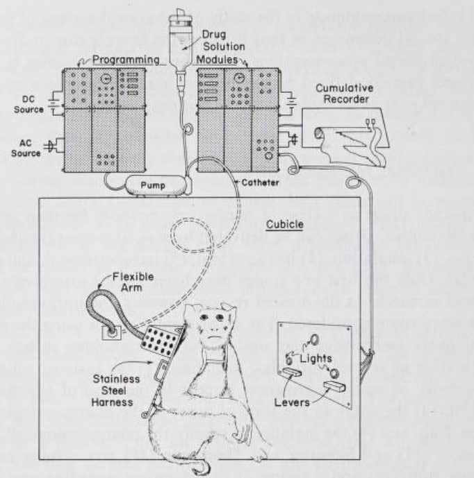 image of scientific contraption designed for an experiment with monkeys and addiction - a study similar to the rat park experiment