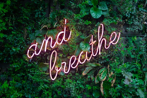 image of a neon sign in green bushes that says "and breathe" to symbolize mood regulation