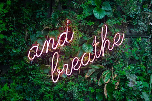 image of a neon sign in green bushes that says "and breathe" to symbolize mood regulation