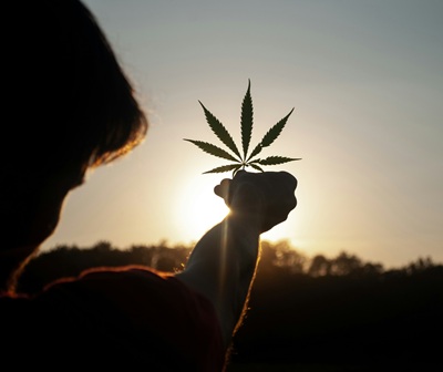 A Standard for Cannabis Moderation