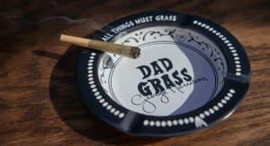 Problems With Daily Cannabis Use?